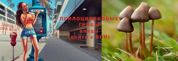 кокаин премиум Няндома