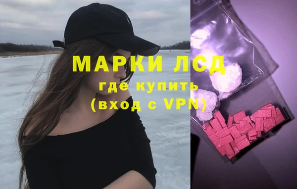 прущая мука Вяземский