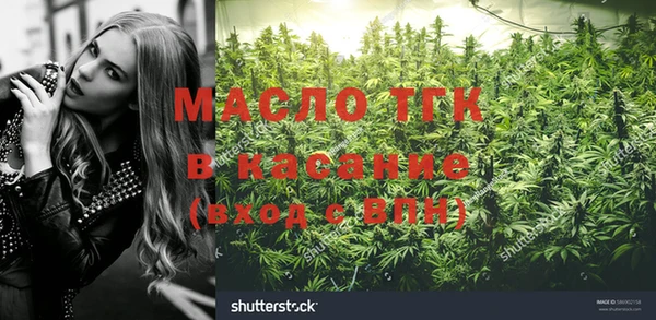 дмт Нягань