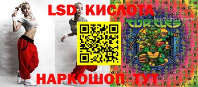прущие крисы Абакан