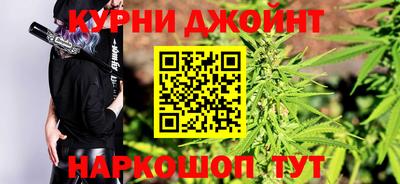 гидра Гай