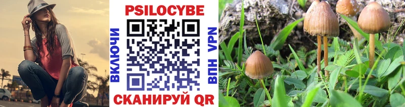 Псилоцибиновые грибы прущие грибы  omg как войти  Алексеевка 