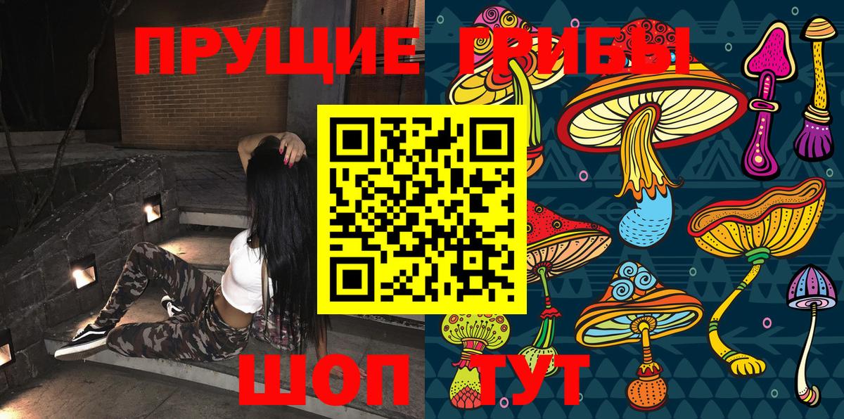 Псилоцибиновые грибы Psilocybe Алексеевка