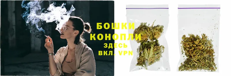 купить наркотик  darknet Telegram  Бошки марихуана White Widow  Алексеевка 